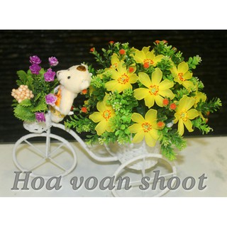 Xe hoa cúc bằng voan