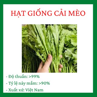 Hạt Giống Cải Mèo Cao Sản khối lượng gói 10 gram, hạt giống năng suất cao R009