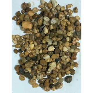 sỏi sông vàng tự nhiên dùng trong xây dựng làm hồ cá (500g-1kg)