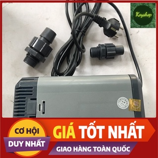 Máy bơm nước AP5400 (bơm chìm/bơm cạn) (bơm hòn non bộ tiểu cảnh trồng rau thuỷ canh aquaponics) Giá Tốt