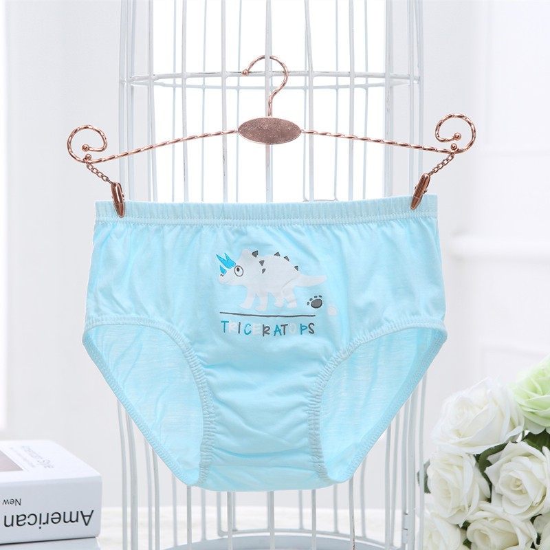 Hộp 5 quần lót bé trai Hàn Quốc 100% cotton mẫu Khủng Long Faddy Kids