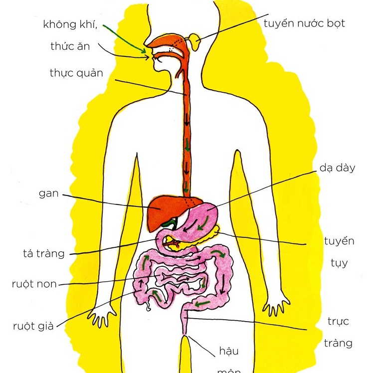 Sách - Ehon Nhật Bản Chuyện xì hơi