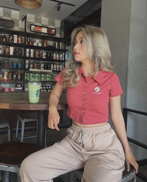 Áo croptop daisy polo thêu hoa, Áo thun cổ bẻ nữ - Colory Shop