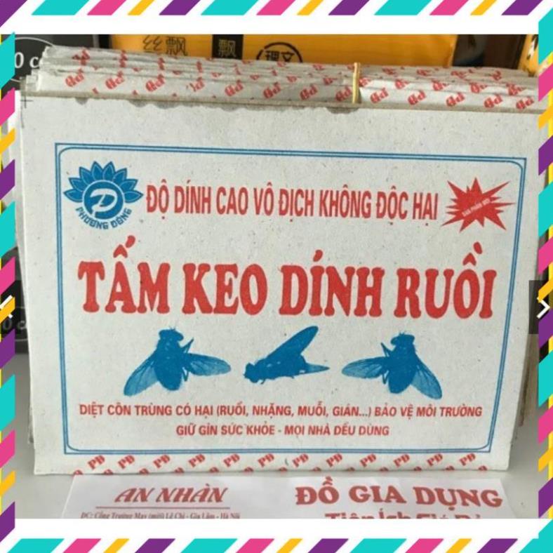 10 tấm keo dính ruồi siêu dính