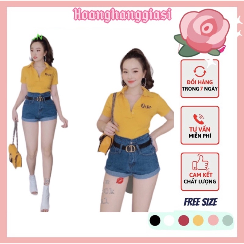 Áo thun cổ trụ ❤️ áo thun chất borip