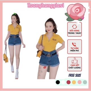 [FREESHIP-GIÁ SỈ XƯỞNG ] Áo thun cổ trụ ❤️ áo thun chất borip,áo thun cổ bẻ nữ