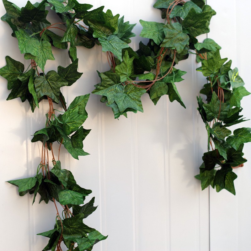 Dây leo lá nho xịn  bó 5 dây dài 2m7-Lá giả