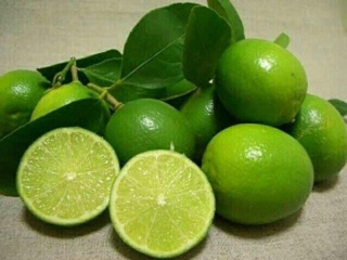 cây chanh tứ quý