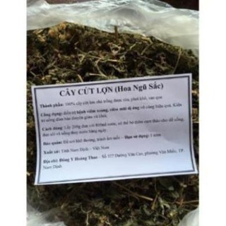 1kg cây cứt lợn khô (hoa ngũ sắc, cây cỏ hôi) chữa viêm xoang