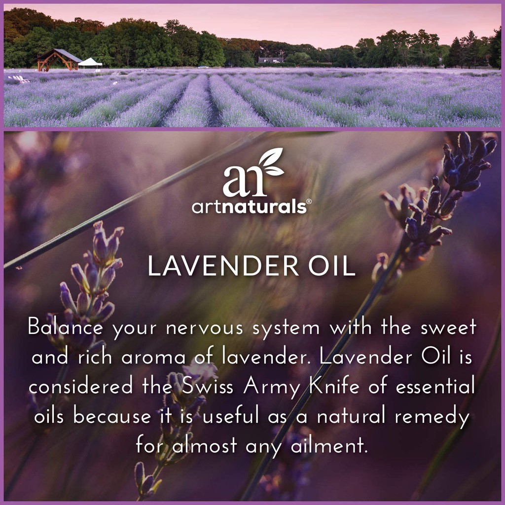 Tinh dầu Lavender Artnaturals USA, Tinh dầu oải hương Lavender, 10ml, xông hương, cải thiện giấc ngủ, giảm đau nhức