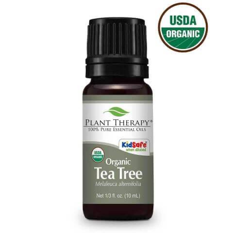 Tinh dầu tràm trà hữu cơ Plant Therapy - Organic Tea Tree Essential Oil Plant Therapy