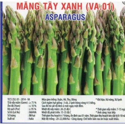 Hạt Giống Măng Tây Xanh