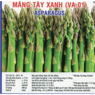 Hạt Giống Măng Tây Xanh