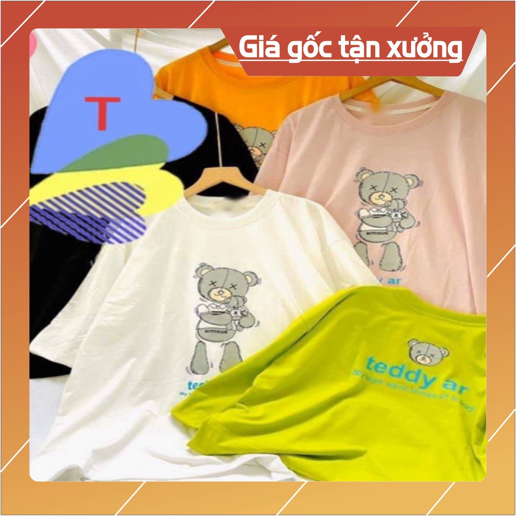 Áo gấu teddy TT12