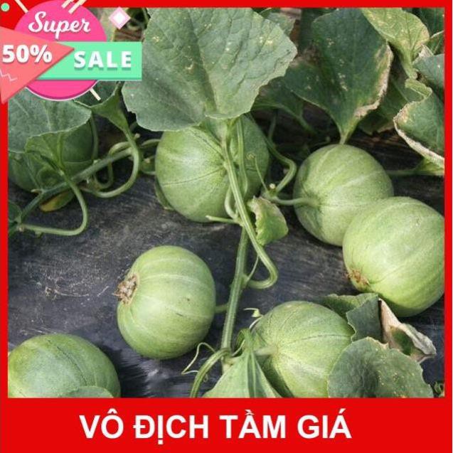 Hạt giống dưa lê xanh siêu ngọt🥒Đài Loan🥒Dưa lê dễ trồng năng suất cao(Nhập nguyên gói bao bì Đài Loan)