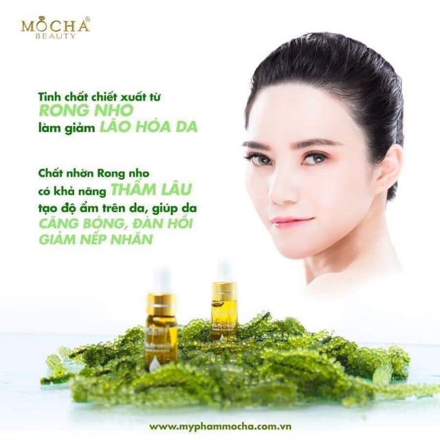 Serum RONG NHO tái tạo da Mocha