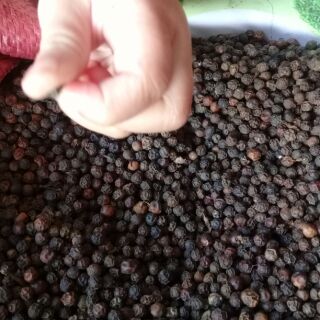 Combo hạt tiêu chị Thu