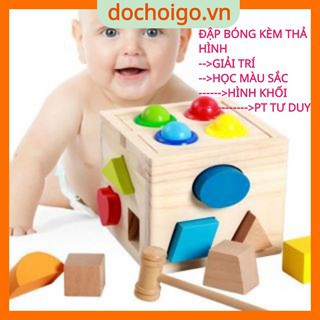 Đồ chơi đập bóng thả hình bằng gỗ cho bé hàng đẹp, đồ chơi gỗ an toàn dochoigo.vn