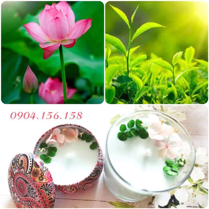 Tinh dầu thiên nhiên làm nến