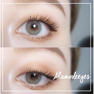 lens xám ngọc áp tròng