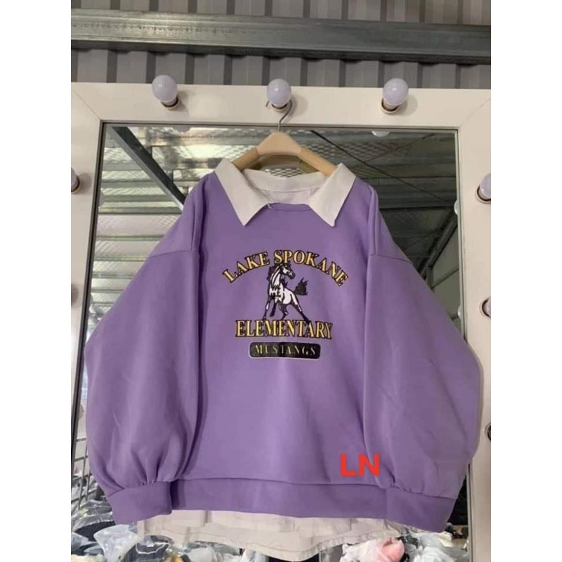 Áo nỉ bo ngựa lake LN11