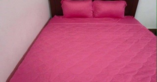 Trọn bộ drap thun màu Hàn Quốc (drap,  2 áo gối, 1 áo gối ôm)