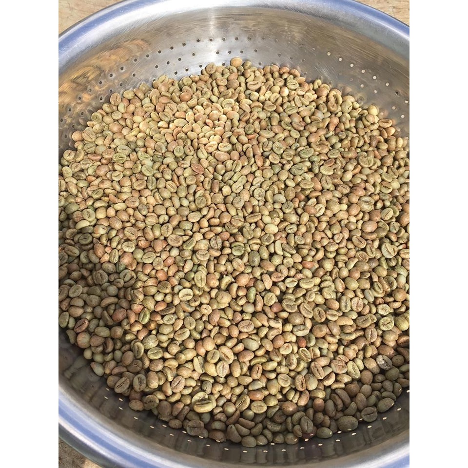 Cà phê nhân xanh chưa rang green bean