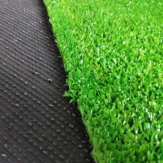 Tấm cỏ nhân tạo 1cm, kích thước 50cm x 50 cm ( 0.25 mét vuông)