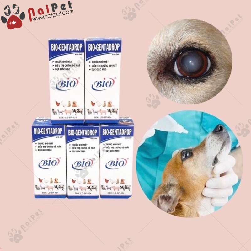 Nước Nhỏ Mắt Bio Gentadrop 10ml Cho Thú Cưng Chó Mèo