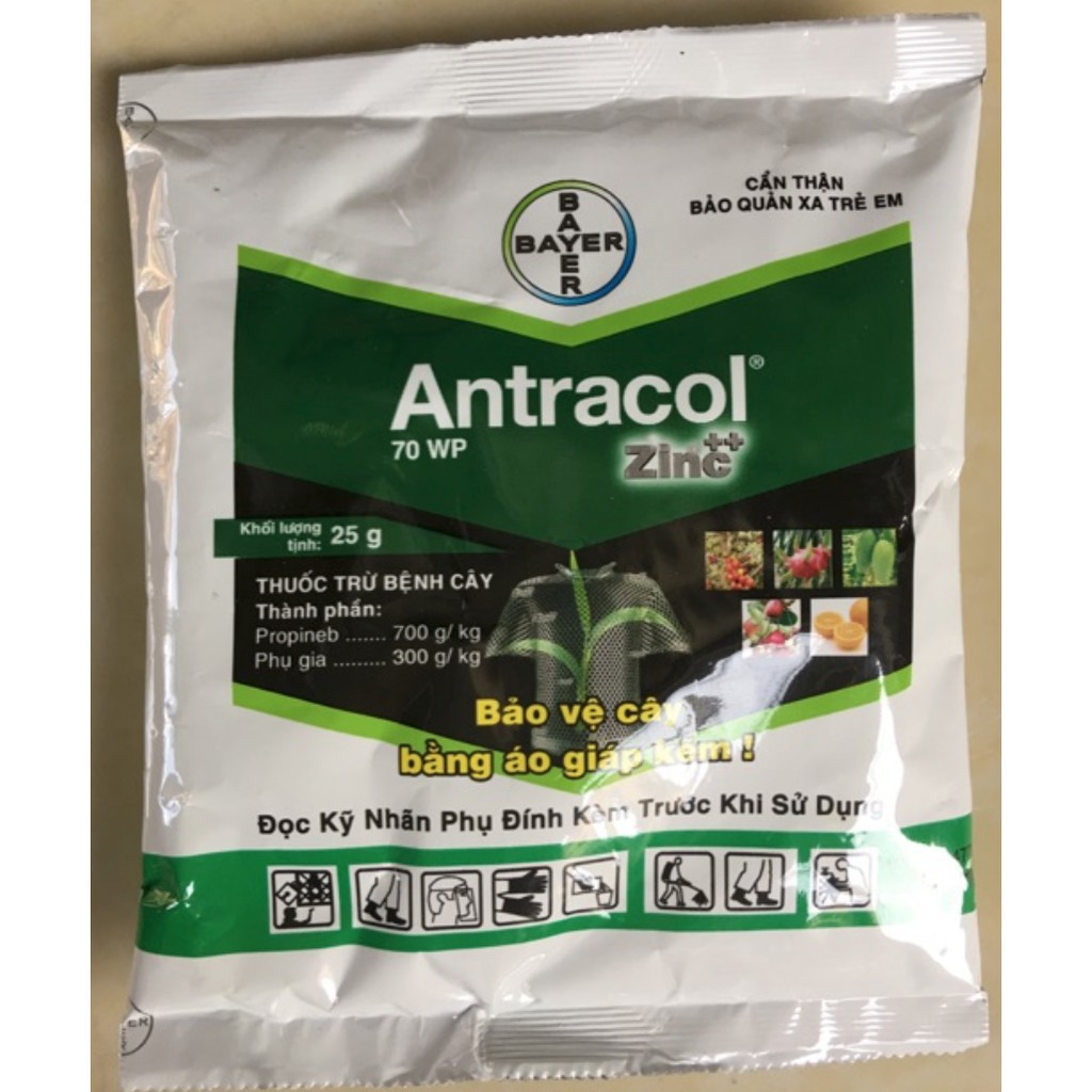 Thuốc trị nấm Antracol: phòng trị các bệnh vàng lá, thối rễ trên hoa, cây cảnh