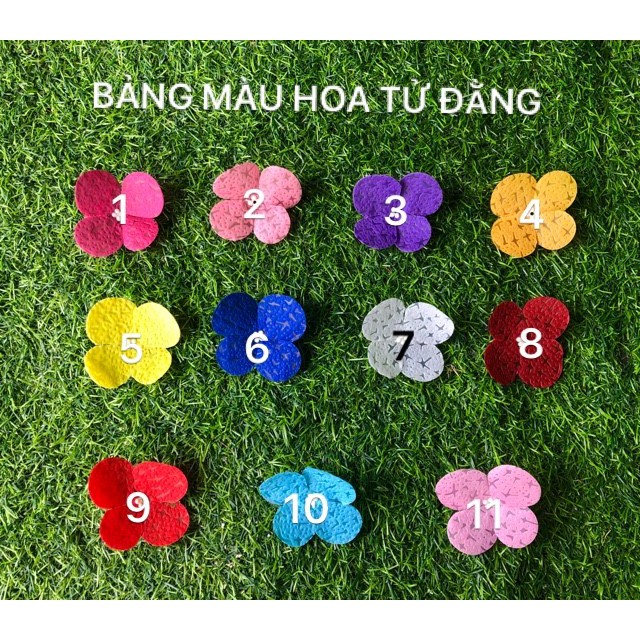 1 bộ nguyên liệu hoa tử đằng + vỉ treo+1 móc treo