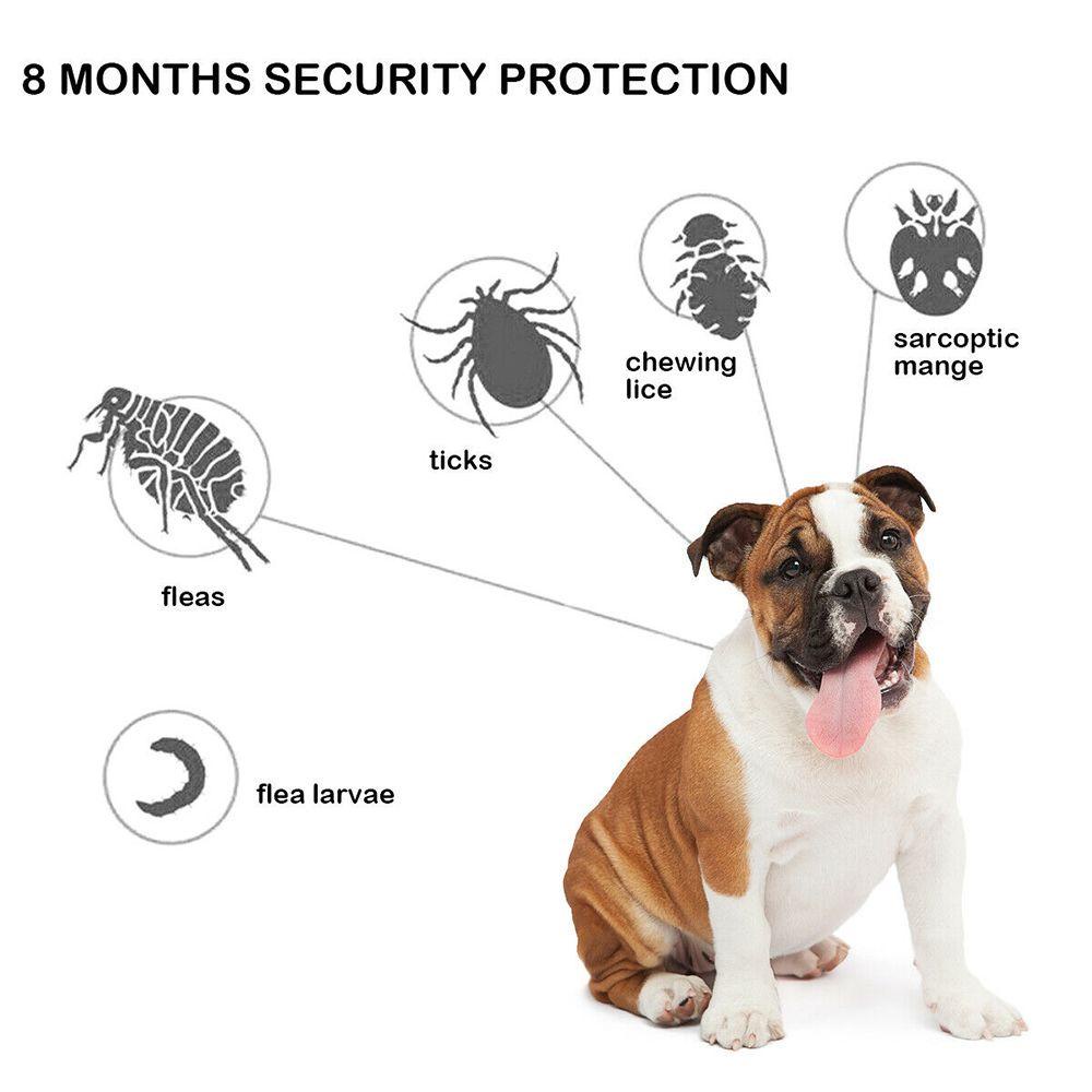 KUNHEV Vòng Cổ Chống Muỗi Côn Trùng Bằng Cao Su Tự Nhiên Không Gây Dị Ứng 8 Tháng Có Thể Điều Chỉnh Nhiều Màu Cho Chó Mèo