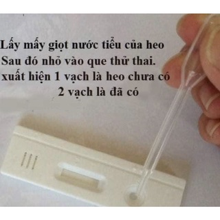 Que thử thai heo chính xác 95%