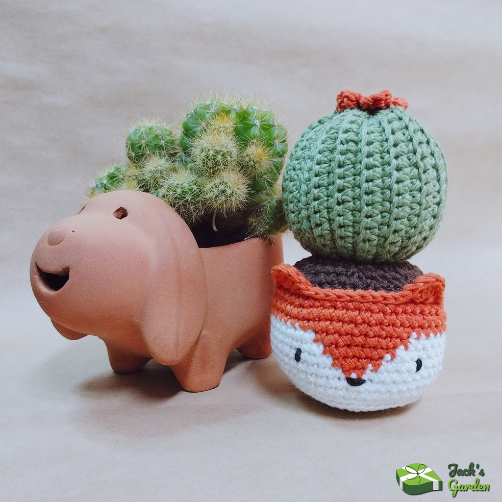 Chậu xương rồng trang trí bàn bằng len handmade