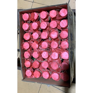 NƯỚC MÙI GIÀ GIAO THỪA 350ml