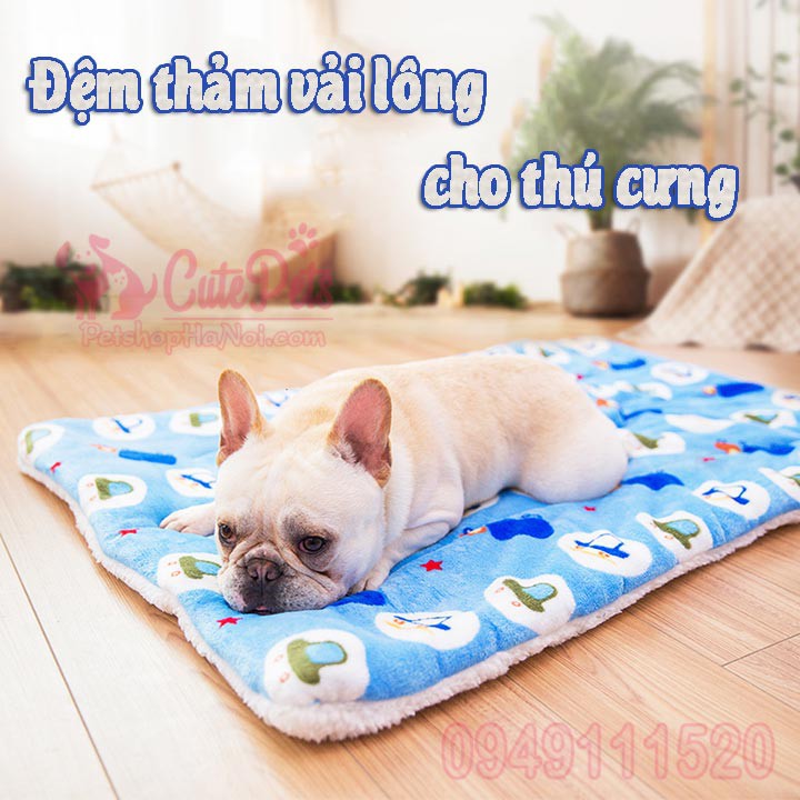 Đệm thảm vải lông mềm mại dành cho chó mèo - CutePets Phụ kiện thú cưng Pet shop Hà Nội