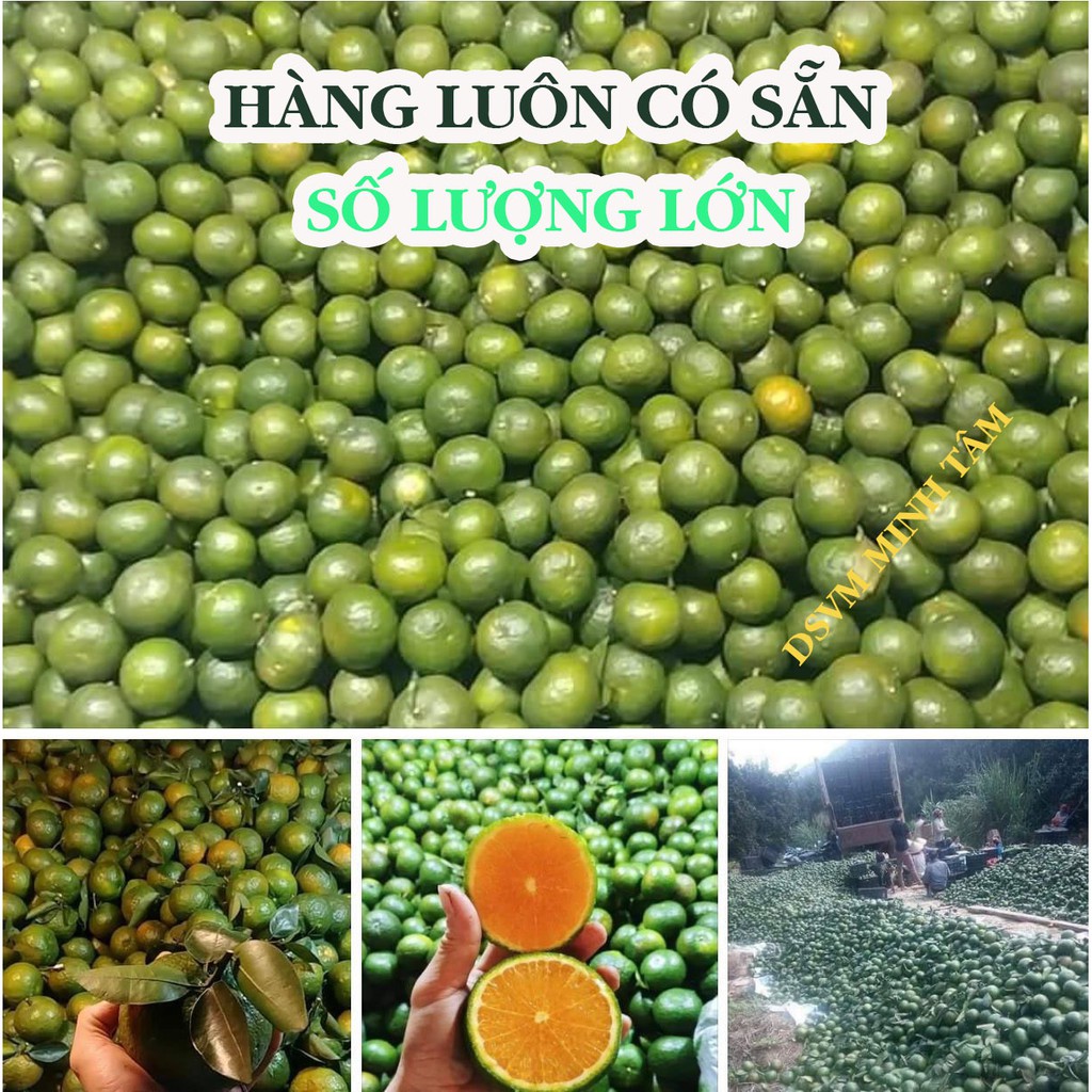 10 kí Cam sành ruột vàng mọng nước tăng sức đề kháng cơ thể [ CHỈ GIAO TPHCM]