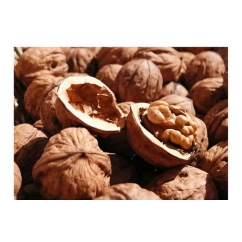 [Hàng Chuẩn]Tẩy Tế bào chết Body VENZEN làm sạch sâu cho làm mịn làn da  quả bơ 250g