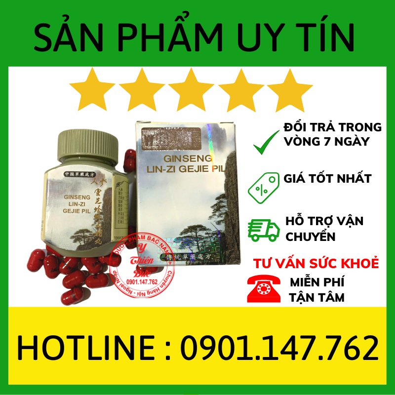 Tăng Cân Cây Thông Đen nhỏ 30v – Hỗ Trợ Tăng Cân