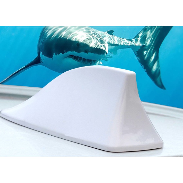 vây cá angten ô tô - Vây cá mập thể thao nắp trên ô tô