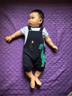 Sét yếm khủng long