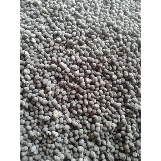 Phân Dê túi 1kg