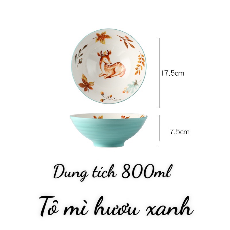 Bát tô ăn mì, bún phở họa tiết decor cực kỳ xinh yêu