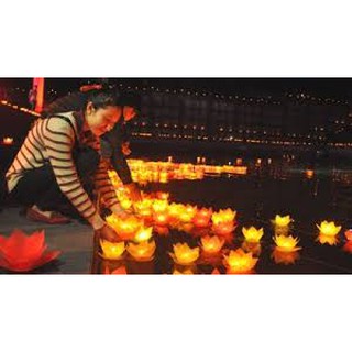 NẾN TEALIGHT