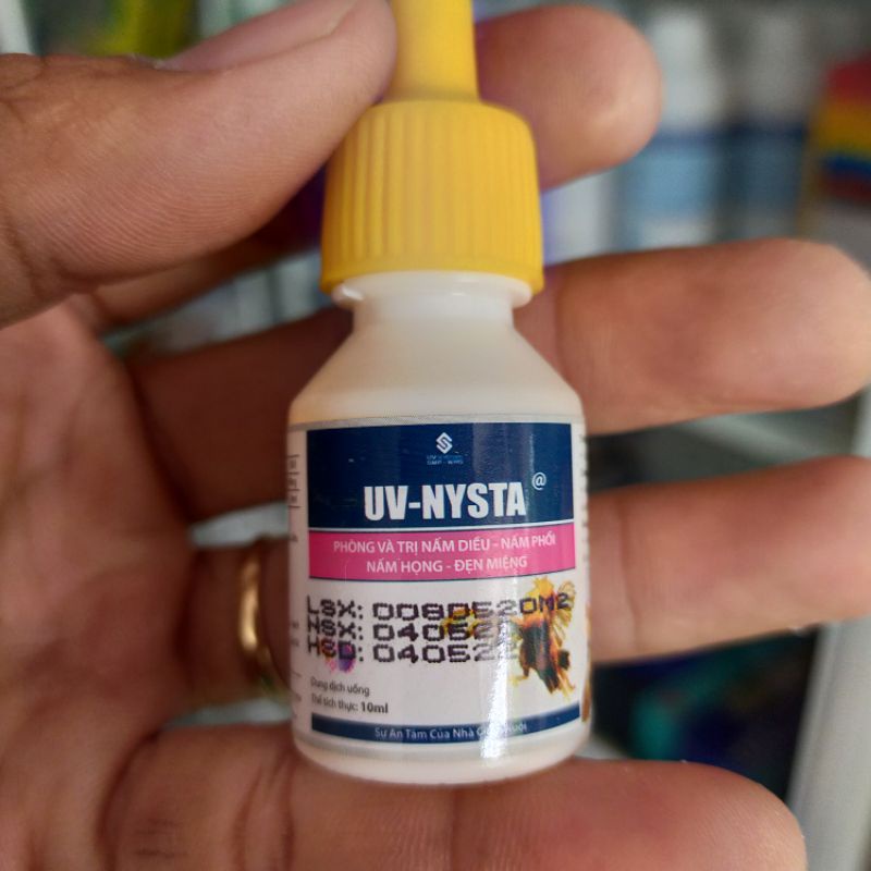 UV- Nista chữa Nấm diều, nấm phổi, nấm họng, đẹn miệng cho gà đá