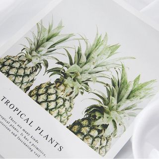 Tấm bìa chụp ảnh