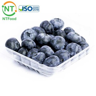 [HCM] 1 Hộp Việt quất đông lạnh 500gr NTFood - Nhất Tín Food