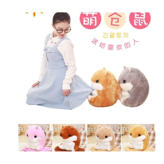 Chuột bông Hamster