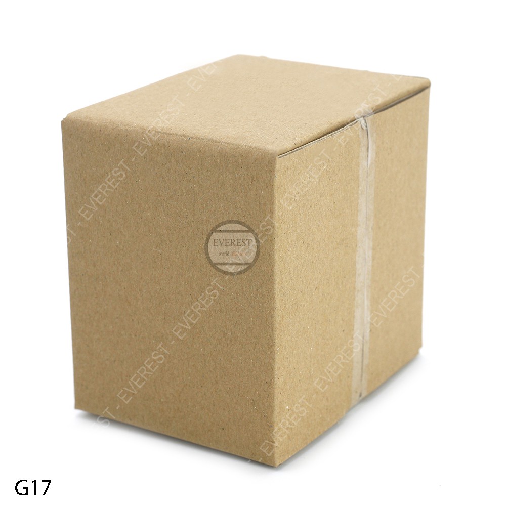 Combo 20 thùng G17 12x12x9 giấy carton gói hàng Everest