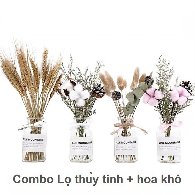 Combo lọ thủy tinh và hoa khô